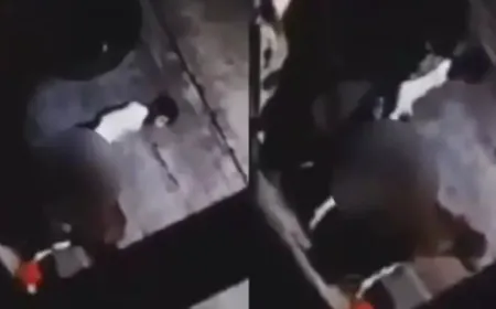 UP Crime News: मुरादाबाद में भूरा शेख अंधेरे में बधी गाय के साथ  कुकर्म करते पकड़ा