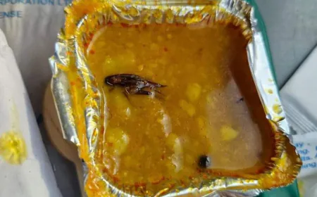 Cockroaches in Vande Bharat's food