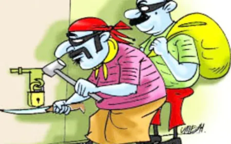 बंद स्कूलों से हो रही चोरियां