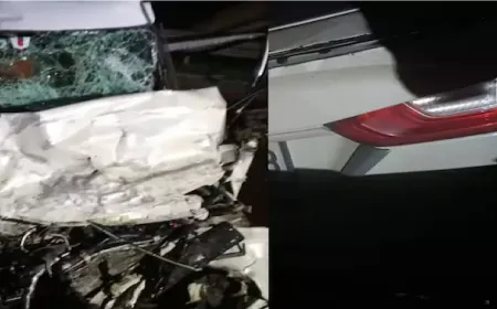 Samruddhi Expressway Accident: Fierce collision between two cars, 7 people died, 5 injured