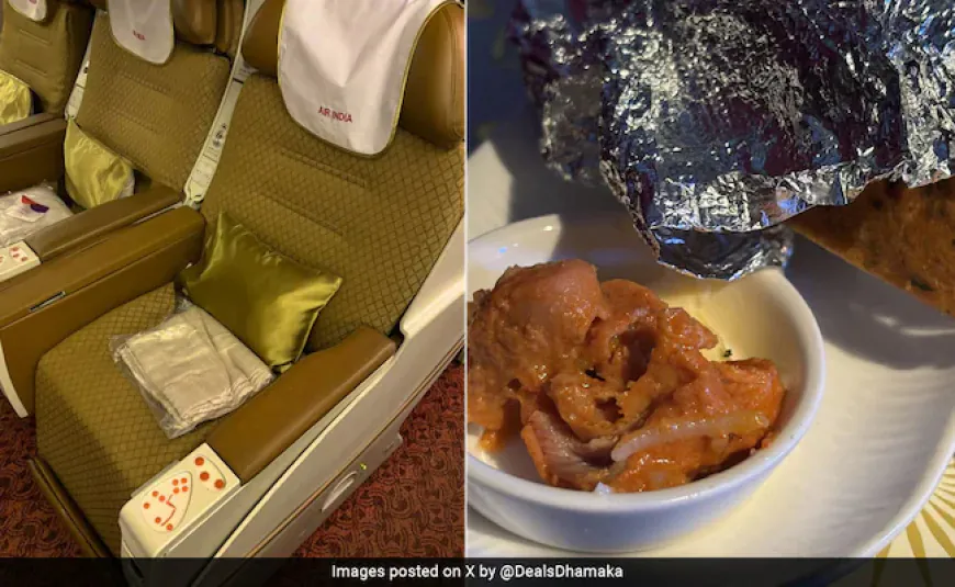 एयर इंडिया ने यात्री के खाने में ब्लेड जैसी धातु मिलने की घटना की पुष्टि की