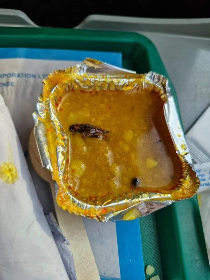 Cockroaches in Vande Bharat's food