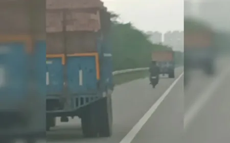 Death running on Yamuna Expressway- Tractor-trolleys overloaded with bricks becoming the cause of accidents