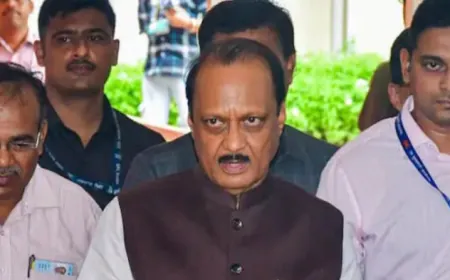 Maharashtra Election Result 2024: महाराष्ट्र में अजित पवार को MLC जीतने पर खुशी जाहिर की