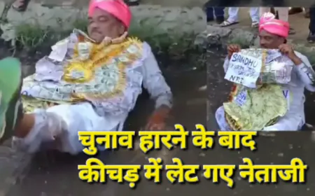 विधानसभा चुनाव हार गया निर्दलीय प्रत्याशी तो कीचड़ में लेट गया