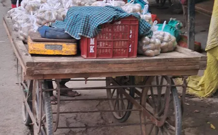 किसके आदेश से प्रतिबंधित पॉलीथिन का धड़ल्ले से हो रहा प्रयोग और बिक्री