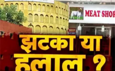 जयपुर में मीट की दुकानों पर 'हलाल' या 'झटका' लिखना अनिवार्य होगा