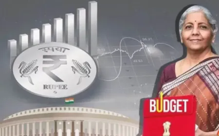 विपक्ष की इस आलोचना वित्तमंत्री ने कहा कि बिना भेद भाव के सभी राज्यों को बजट दिया गया है