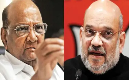 Poltical News: : आरोपों की राजनीति, शरद पवार भ्र्ष्टाचार के सरगना तो शाह गुजरात से भागा देश का गृह मंत्री ..!