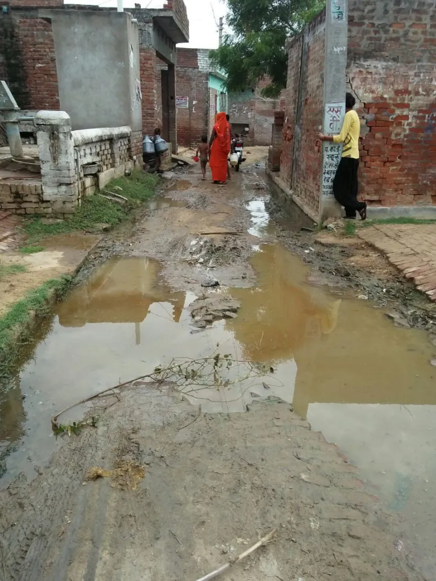 बारिश ने कई गांव की सरकारी योजनाओं की खोली पोल  गांव वासी दलदल में से निकने को मजबूर