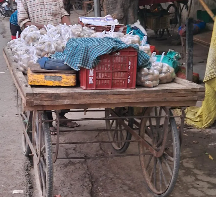 किसके आदेश से प्रतिबंधित पॉलीथिन का धड़ल्ले से हो रहा प्रयोग और बिक्री