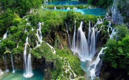 प्रकृति का स्वभाव है निस्वार्थ सेवा