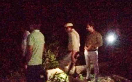 नहीं थम रहा लकड़ी माफियाओं द्वारा हरे वृक्षों का कटान