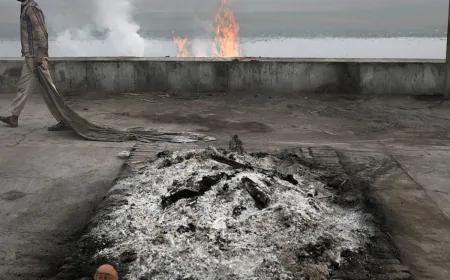 मृत्यु तो एक पड़ाव है