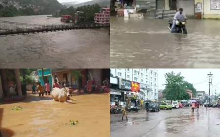 Aaj Ka Mausam : पहाड़ से लेकर मैदान तक 22 राज्यों में भारी बारिश का अलर्ट