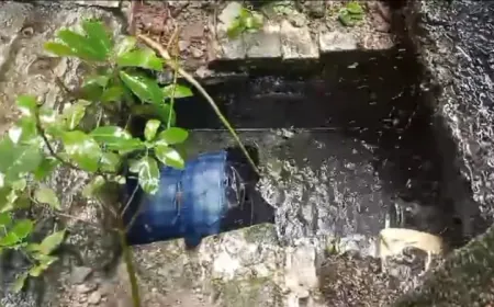 लोहिया अस्पताल में पड़ी मिली लाश