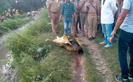 बोरी मे मिली युवती की लाश, मौके पर पहुंची पुलिस नही हो सकी पहिचान  पुलिस ने शव को पी एम गृह भेजा