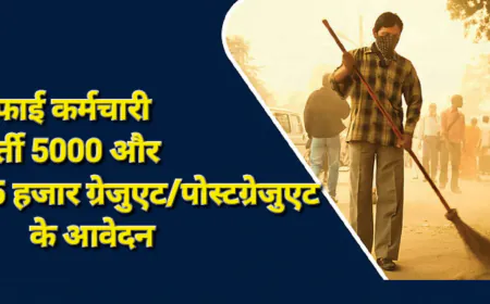 सफाई कर्मचारियों के 5 हजार पद के लिए 45 हजार ग्रेजुएट/पोस्टग्रेजुएट आवेदक