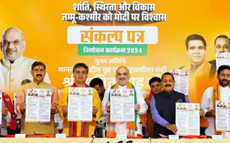 Jammu Kashmir VidhanSabha Election 2024, बीजेपी के घोषणा पत्र में महिलाओं को 18 हजार 2 गैस सिलेंडर, युवाओं को 5 लाख नौकरी