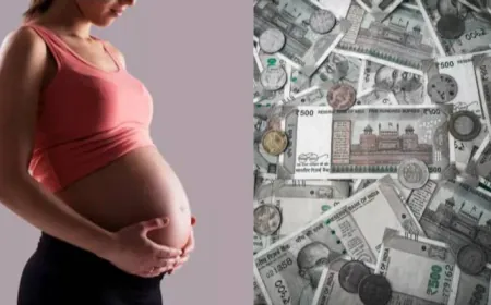 Job of Impregnating Young Women : लखपति करोड़पति की पत्नियों को प्रेग्नेंट करो और 5 लाख लो