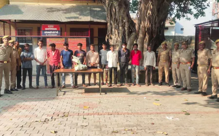 Kasganj news सरकारी सस्ते गल्ले की दुकान के आवंटन के समय ग्राम पैसोई थाना क्षेत्र सोरों जानलेवा हमले एवं उपद्रव से सम्बन्धित 12 अभियुक्तों को 24 घण्टे के अंदर किया गिरफ्तार।