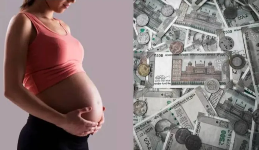 Job of Impregnating Young Women : लखपति करोड़पति की पत्नियों को प्रेग्नेंट करो और 5 लाख लो