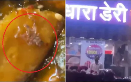 समोसे में मरी हुई मकड़ी मिलने से ग्राहक हैरान, कार्रवाई की मांग, देखें VIDEO...