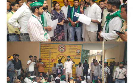 तीनों तहसीलों पर भारतीय किसान यूनियन स्वराज ने उपजिलाधिकारी के माध्यम से मुख्यमंत्री के नाम दिया ज्ञापन।