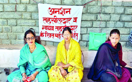 डलहौजी के सलूणी में तहसीलदार और नायब तहसीलदार के पद खाली