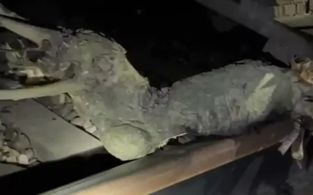 Hardoi: ट्रेनों को पलटाने की बड़ी साजिश अराजकतत्वों ने  रखा लकड़ी का गुटखा