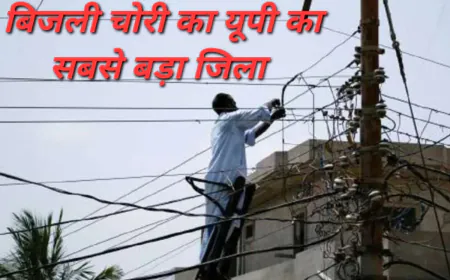 UP News : बिजली चोरी करने में यूपी का सबसे बड़ा जिला, करोड़ों की बिजली चोरी