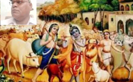 कान्हा की गौ चारण लीला और गौ पूजन का पवित्र दिन है गोपाष्टमी……….