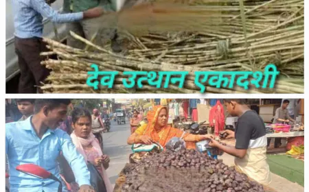 देवोत्थान एकादशी शहर में श्रद्धा व हर्षोल्लास के साथ मनाई गई घरों में हुई तुलसी की पूजा खूब बिके गन्ने