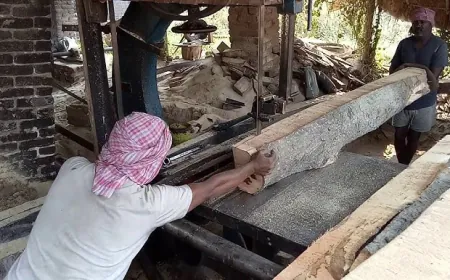एटा में आरा मशीनों पर काटी जा रही फर्रुखाबाद की लकड़ी, जिम्मेदार नहीं दे रहे ध्यान