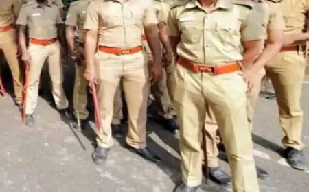 UP Police Bharti Exam Result 2024 : यूपी पुलिस का कांस्टेबल भर्ती परीक्षा परिणाम घोषित, ऐसे करे चेक