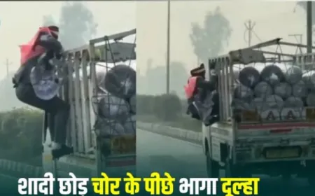 दूल्हे की गले मे पड़ी नोटों की माला से रुपये तोड़कर भागा लड़का,  शादी छोड़ पीछे भागा दुल्हा वायरल न्यूज