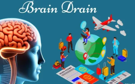 brain drain युवा पीढ़ी शिक्षा के निमित विदेश में जाकर वही बसना ......