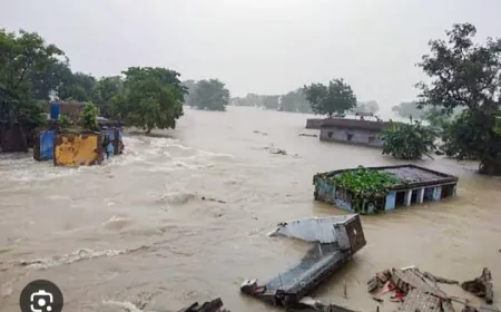 Farrukhabad News : बाढ़ के दौरान किसानों की फसले हुई बरबाद, अब तक नहीं मिला मुआवजा