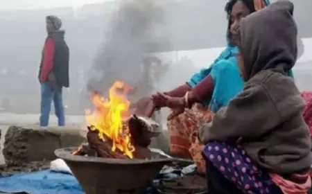 दिल्ली UP में शीतलहर, पहाड़ी इलाकों में बर्फ, जानें कैसा रहेगा मौसम