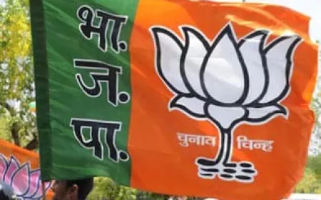 बीजेपी के ‘ओवर एज’ दावेदारों के नामांकन पर चलेगी पार्टी की कैंची