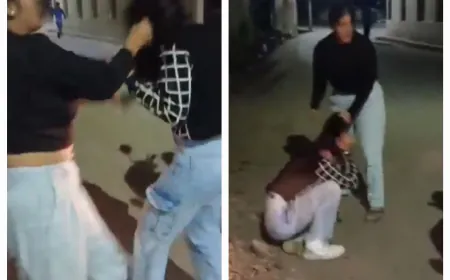 बॉयफ्रेंड के लिए दो लड़कियों में जमकर चले लात घूसे, कपड़े फ़टे वीडियो वायरल