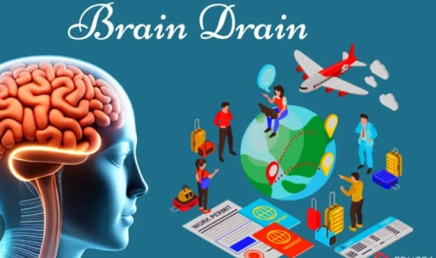 brain drain युवा पीढ़ी शिक्षा के निमित विदेश में जाकर वही बसना ......