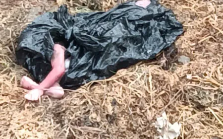 नवजात  शव मिलने से गांव में अफरा तफरी का माहौल