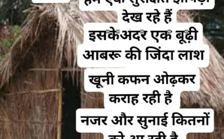 कौन पहना गया खूनी कफन बूढ़े अंत पर