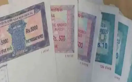 उत्तर प्रदेश में हो रहे नकली स्टाम्प से रजिस्ट्री, सभी जिलों में जांच के आदेश