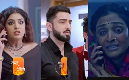 लक्ष्मी की बिगड़ती हालत ने ऋषि को किया परेशान, मलिष्का ने रची साजिश