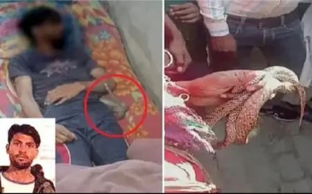 प्रेमी संग बीबी ने  पति को मारा,  फिर साँप से डसवाया गूगल से ढूंढा तरीका