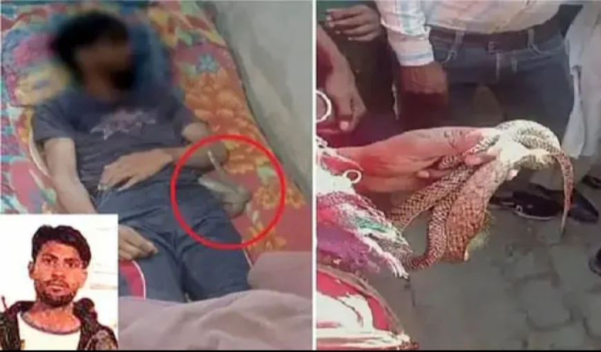 प्रेमी संग बीबी ने पति को मारा, फिर साँप से डसवाया गूगल से ढूंढा तरीका