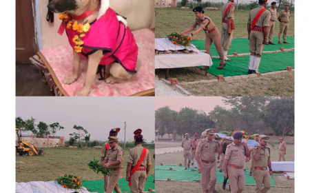 Kasganj news पुलिस में कार्यरत स्वान जॉनी का बीमारी से निधन।