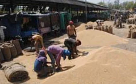 एटा में गेहूं खरीद में बड़ा घोटाला: किसानों के नाम पर खरीदा जा रहा है आढ़त का गेहूं